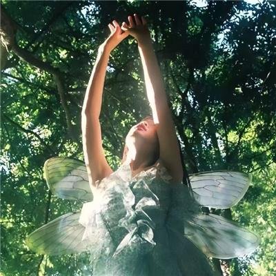 我们的父辈3:一个面目全非的国家